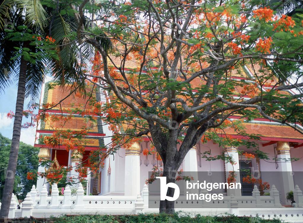 Thailand: Viharn Mongkol Bopit, Ayutthaya Historical Park