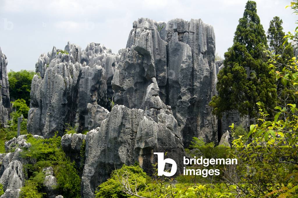 China: Stone Forest (Shilin), Shilin Yi Autonomous County, Yunnan Province