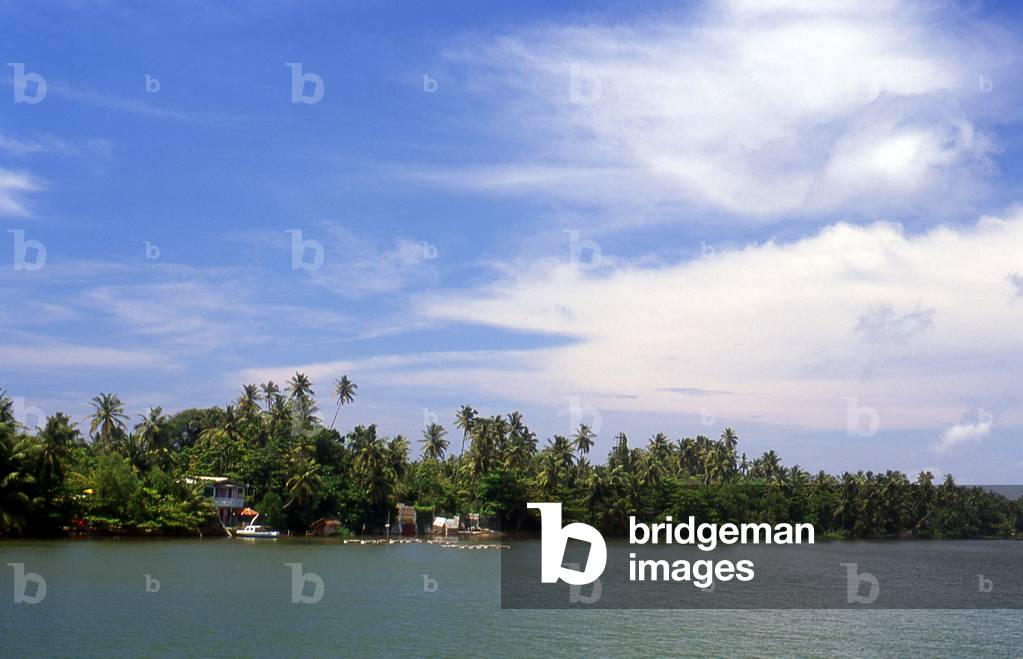 Sri Lanka: The Kalu Ganga (Black River) near Kalutara, south of Colombo