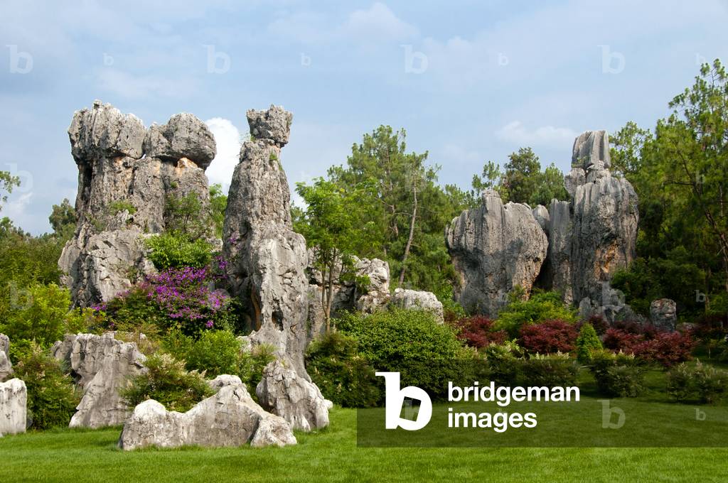 China: Stone Forest (Shilin), Shilin Yi Autonomous County, Yunnan Province