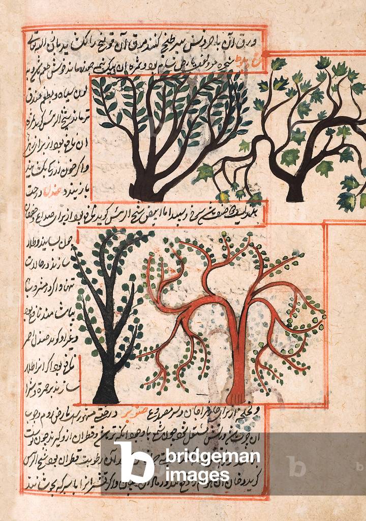 Iran / Persia: illustration from 'Marvels of Things Created and Miraculous Aspects of Things Existing', 13th century (manuscript)