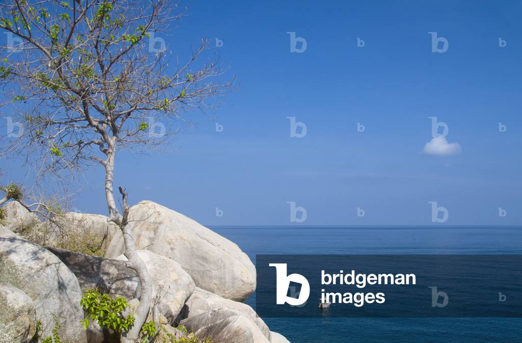 Thailand: Laem Thian, Ko Tao (Turtle Island), southern Thailand