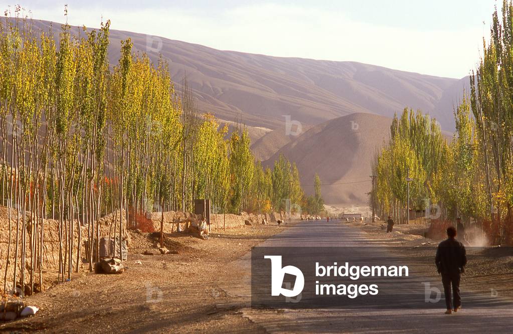 China: An oasis in the foothills of the Kunlun Shan (Kunlun Mountains) near Karghilik (Karghalik or Kargilik), Xinjiang Province (photo)