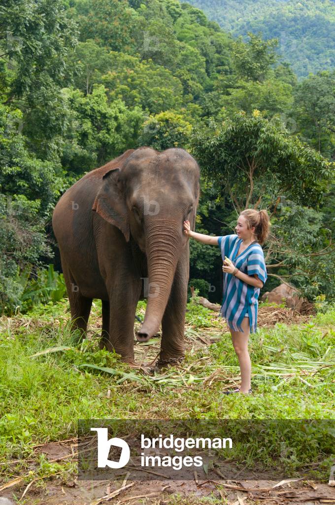 Thailand: Making friends, Patara Elephant Farm, Chiang Mai Province