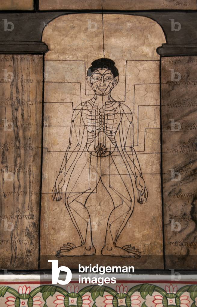 Thailand: 19th century diagram placed during the reign of Rama III (1787 - 1851) showing the body's acupressure points, Wat Pho (Temple of the Reclining Buddha), Bangkok