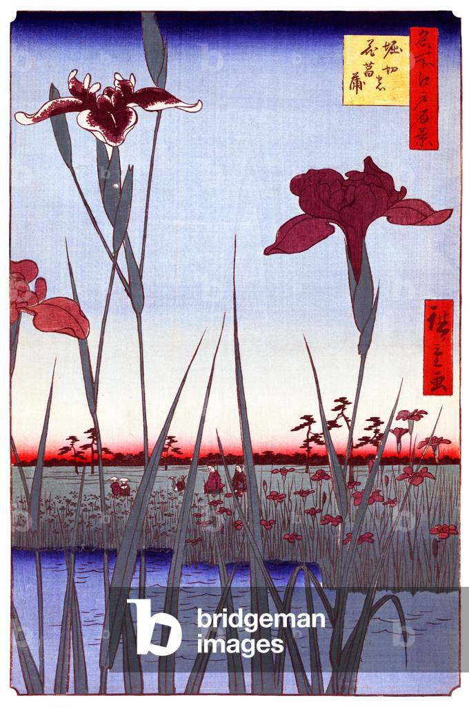 Japan: Summer: Horikiri Iris Garden. Image 64 of '100 Famous Views of Edo'. Utagawa Hiroshige (first published 1856-59)