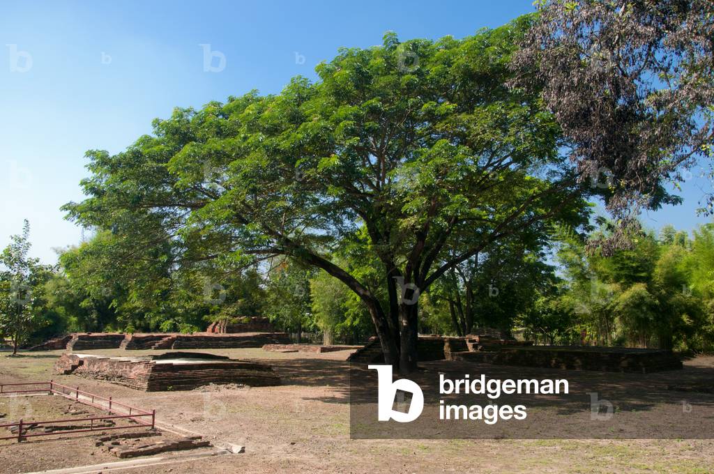 Thailand: Wat Pa Fai Ruak, Wiang Thakan, Chiang Mai Province