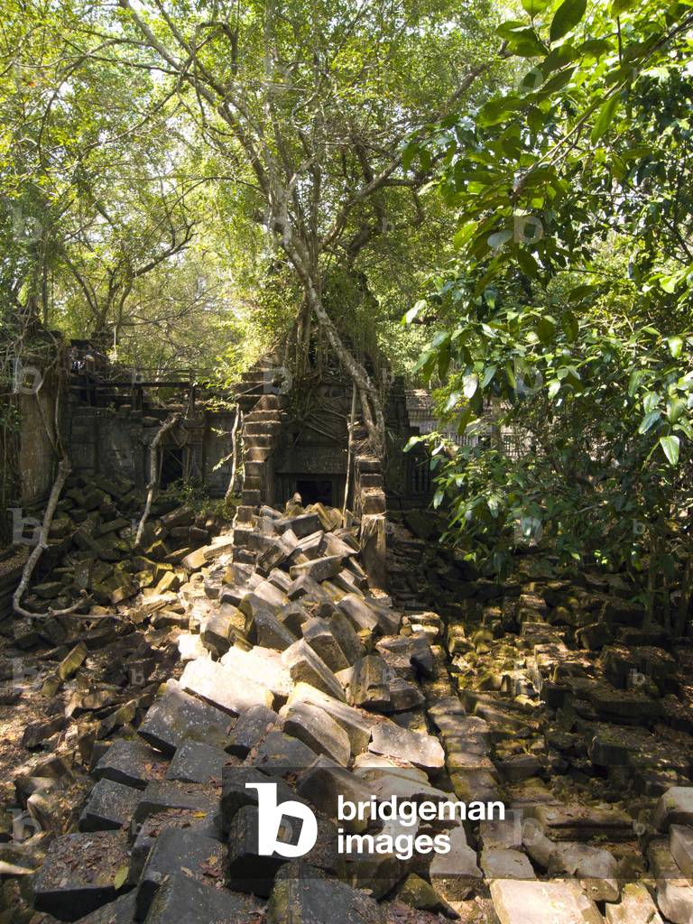 Cambodia: Beng Mealea (12th century Khmer temple), 40km east of the main group of temples at Angkor