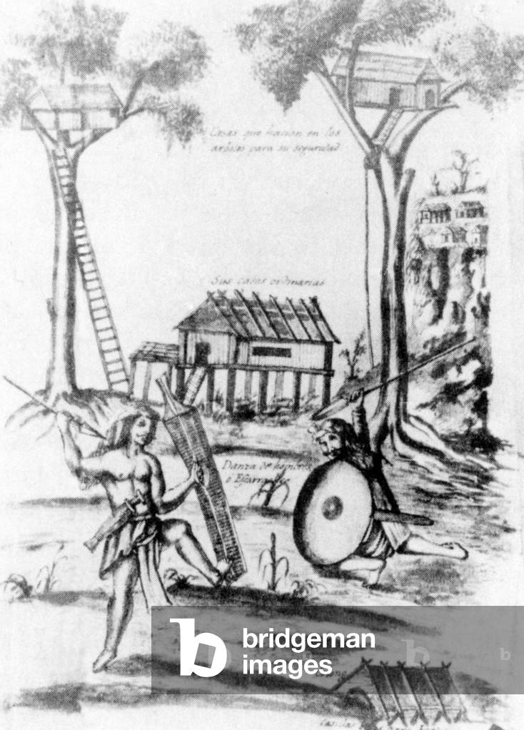 Philippines: Two treehouses, probably used as granaries, stand either side of a rustic Visayan house.