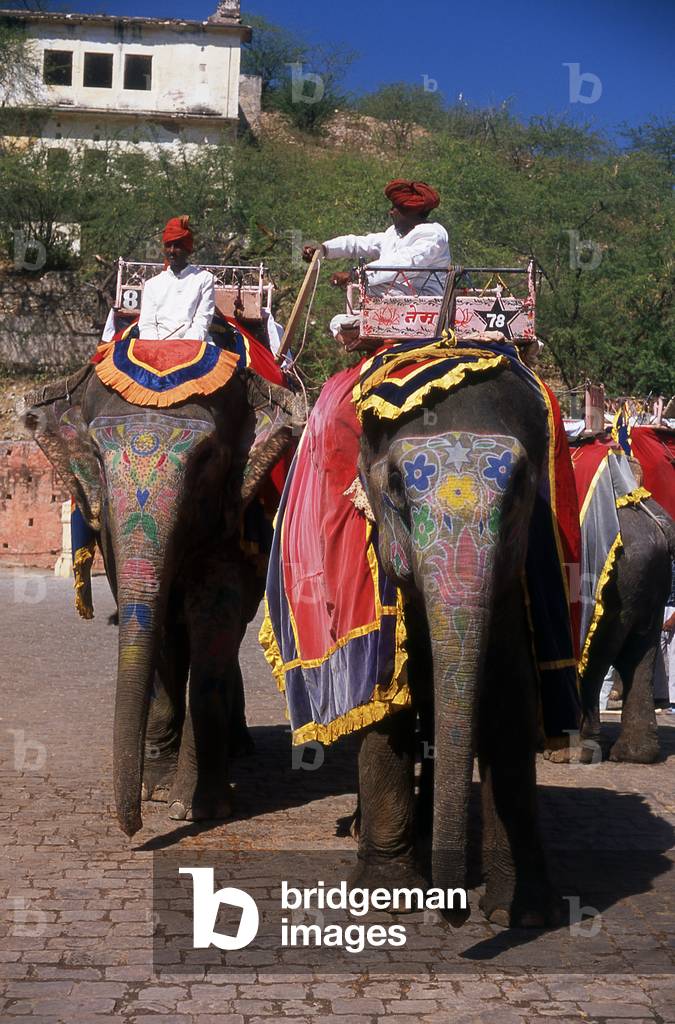India: Elephants, Amber (Amer) Palace and Fort, Amer, near Jaipur, Rajasthan