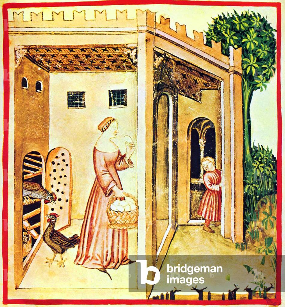Iraq / Italy: Collecting Chicken's eggs. Illustration from Ibn Butlan's Taqwim al-sihhah or 'Maintenance of Health' (Baghdad, 11th century) published in Italy as the Tacuinum Sanitatis in the 14th century