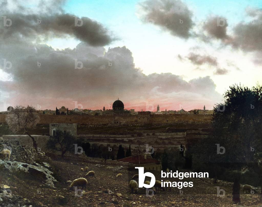 Palestine: A shepherd with his flock before the Dome of the Rock, Jerusalem, 1919