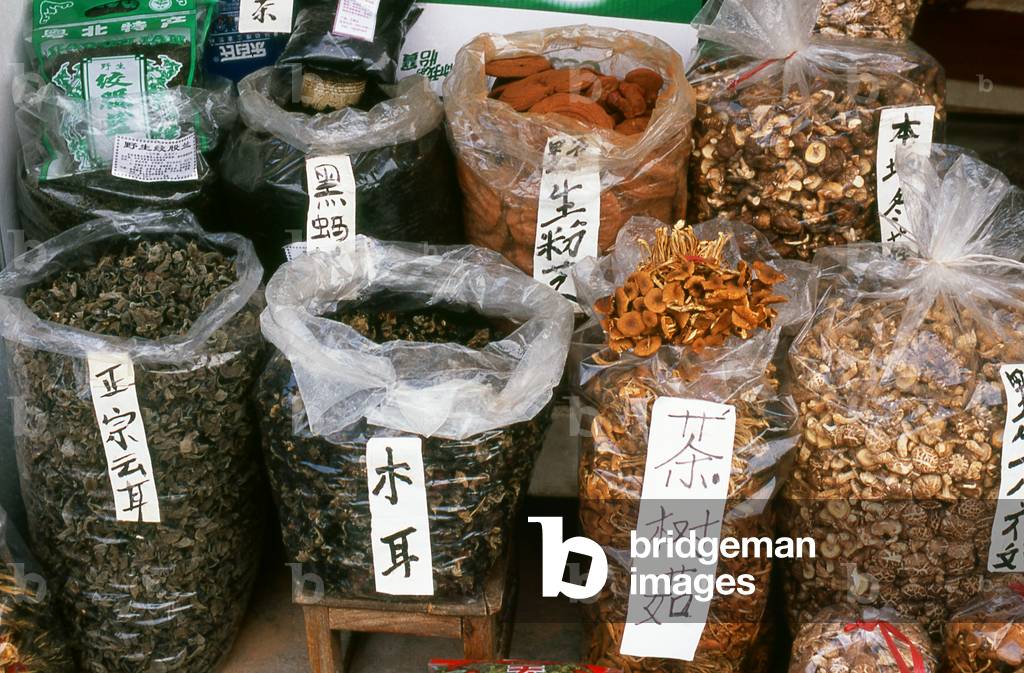 China: Various mushrooms from the Danxia Shan forests, near Shaoguan, Guangdong Province (photo)