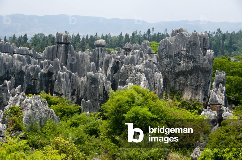 China: Stone Forest (Shilin), Shilin Yi Autonomous County, Yunnan Province