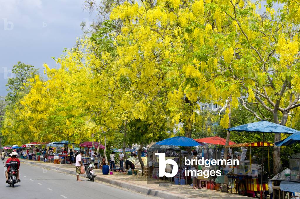 Thailand: The Old Town's busy moats at the Thai New Year Songkran (Water) Festival, Chiang Mai