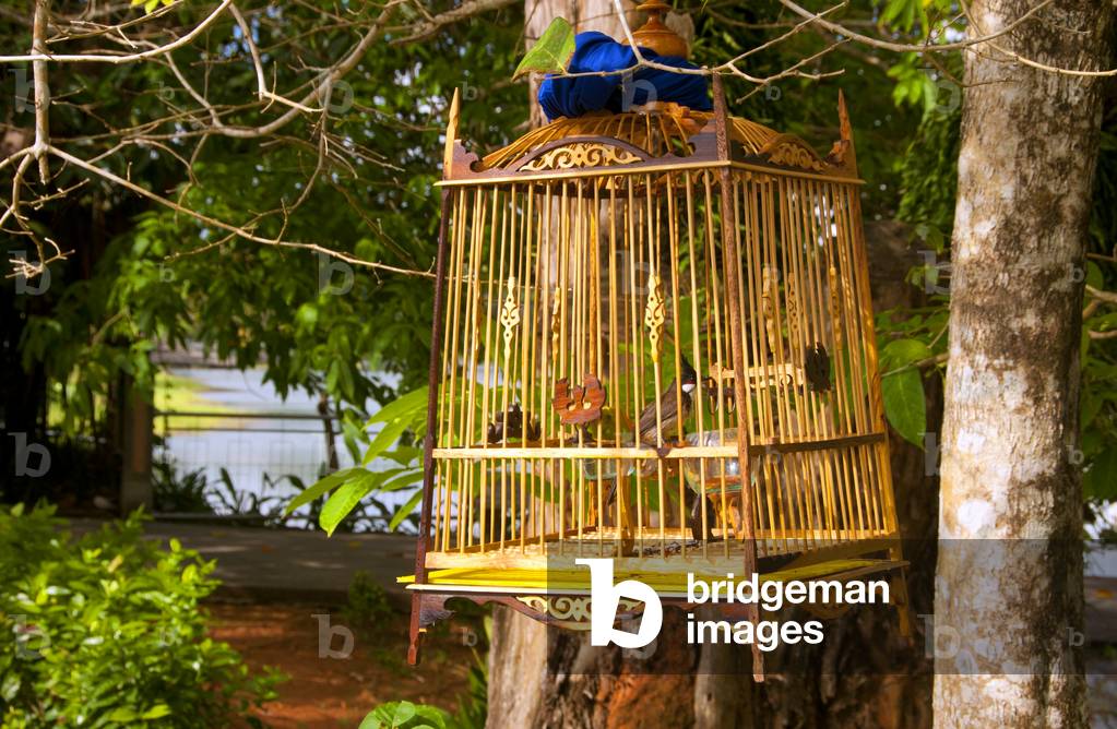 Thailand: Birdcage, Kaphang Surin Lake, Trang Town, Trang Province, southern Thailand