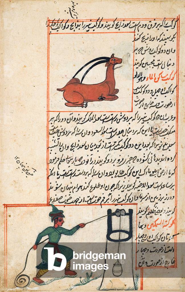 Iran / Persia: Illustration from Zakarīyā ibn Muḥammad al-Qazwīnī, 'Ajā'ib al-makhlo
