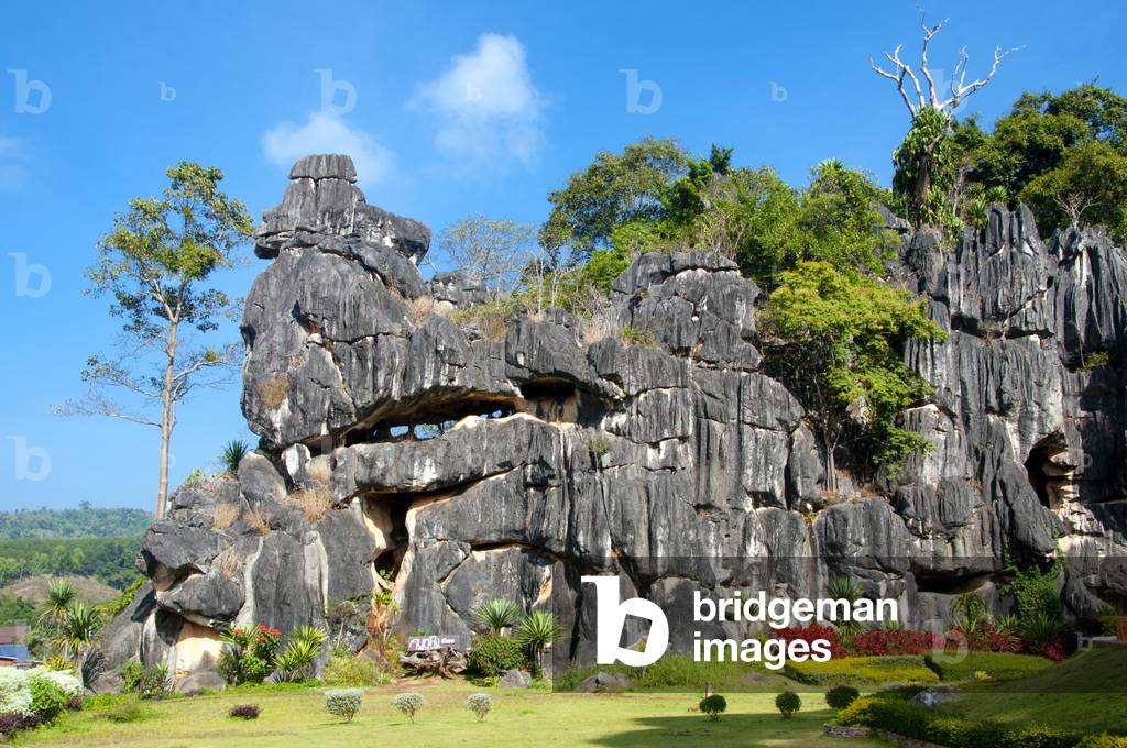 Thailand: Suan Hin Pha Ngam (sometimes known as Thailand's Kunming due to the limestone outcrops found here), Loei Province