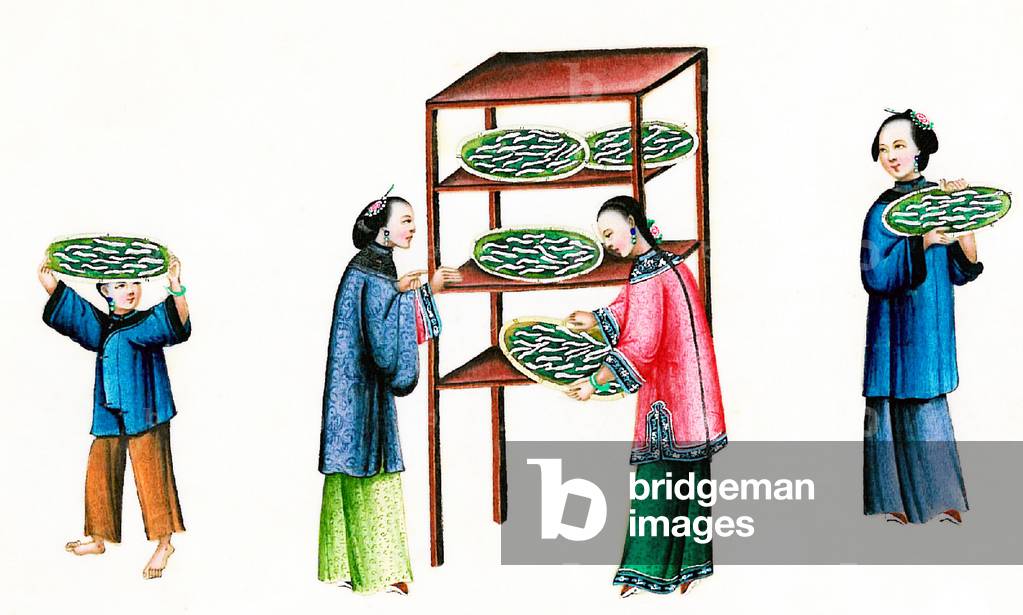 China: Silk Production - caring for silk worms. Qing Dynasty watercolour painting by an anonymous artist, mid to late 19th century