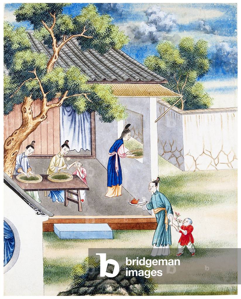 China/Netherlands: Women sorting tea on a porch, southern China. Part of a group of four gouaches on the production and export of Chinese tea by the VOC around 1750