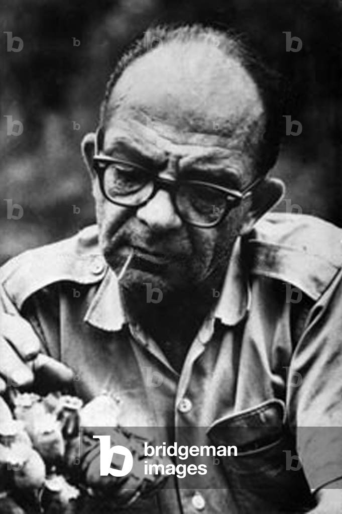 Laos / USA: Edgar 'Pop' Buell (1913-1980) with opium poppy seed pods, Laos, c. mid-1960s