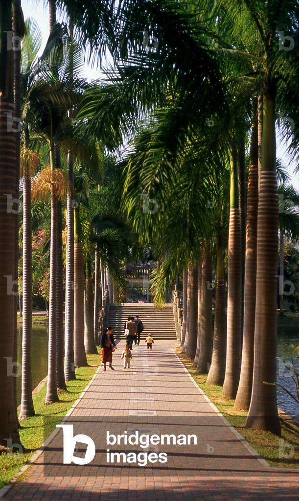 China: Palm trees line a path in Renmin Park, Nanning, Guangxi Province