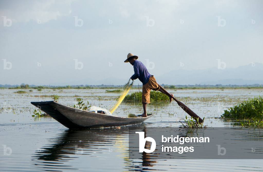 Burma / Myanmar: A leg rowing Intha fisherman on Inle Lake, Shan State