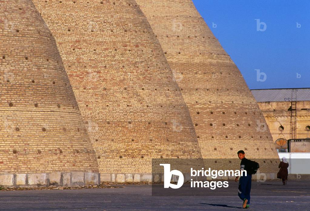 Uzbekistan: Entrance to the Ark fortress, Bukhara