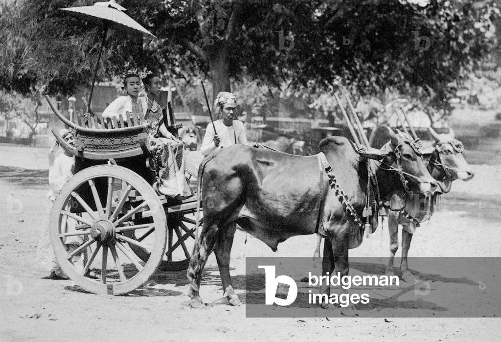 Burma/ Myanmar: Two young Shan princesses stand in an oxen-drawn carriage in Kengtung in Shan State, 1900