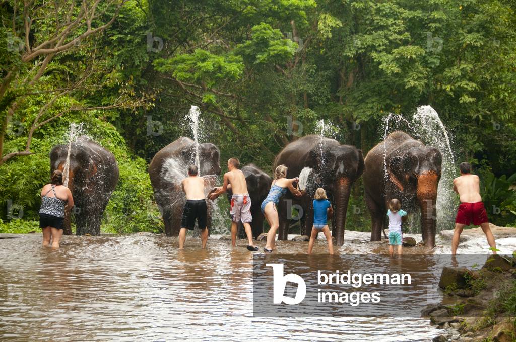 Thailand: Bathing time at the waterfall, Patara Elephant Farm, Chiang Mai Province