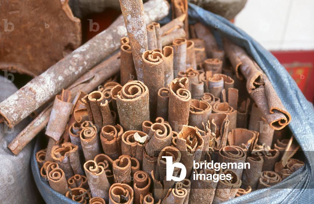 Vietnam: Cinnamon (