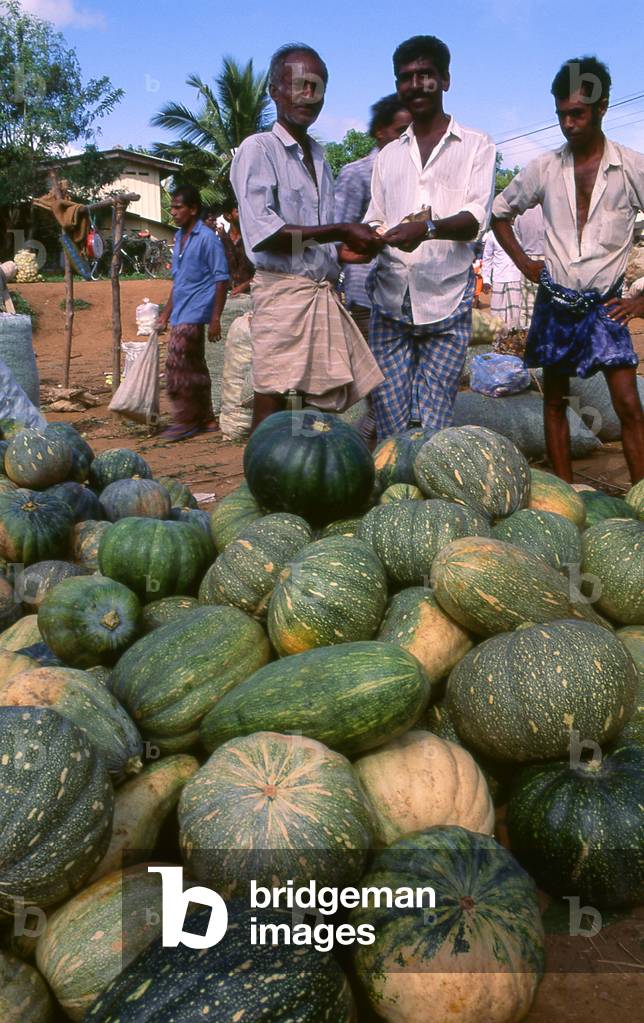 Sri Lanka: Pumpkins on sale in a market in Tangalle on Sri Lanka's south coast