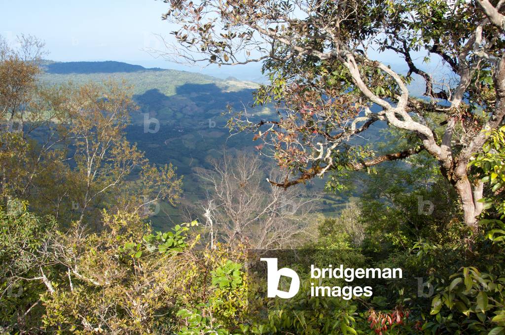 Thailand: View from Sam Thong Cliff, Phu Ruea National Park, Loei Province