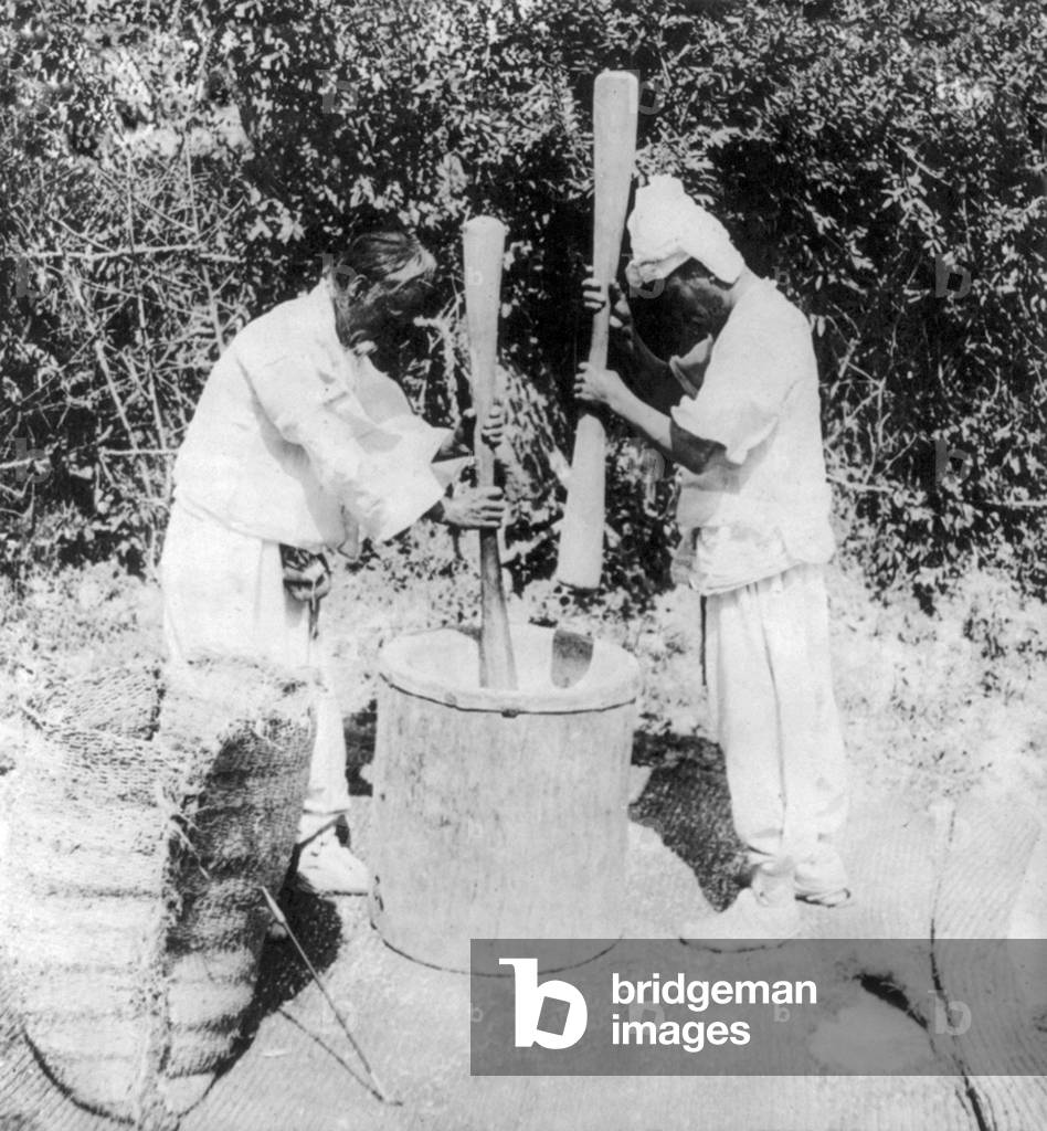 Korea: A primitive grist-mill of the Korean peasants - beating turnip seed into meal - suburbs of Seoul, early 20th century