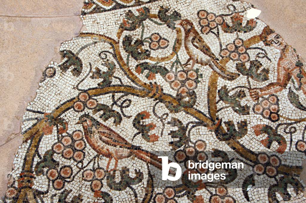 Italy: Grape vines and birds on the middle section of the 4th century CE pavement mosaic from the early Christian circular baptistery on Via Canoniche, Treviso