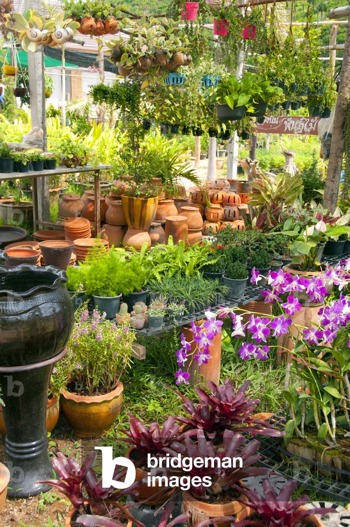 Thailand: Garden centre in Ban Khlong Nin, Hat Khlong Nin, Ko Lanta, Krabi Province
