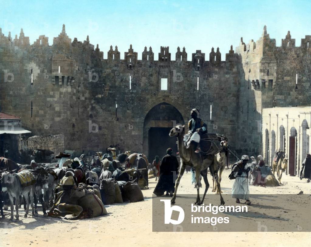 Palestine: A mule pack train outside the Damascus Gate, Jerusalem, 1919