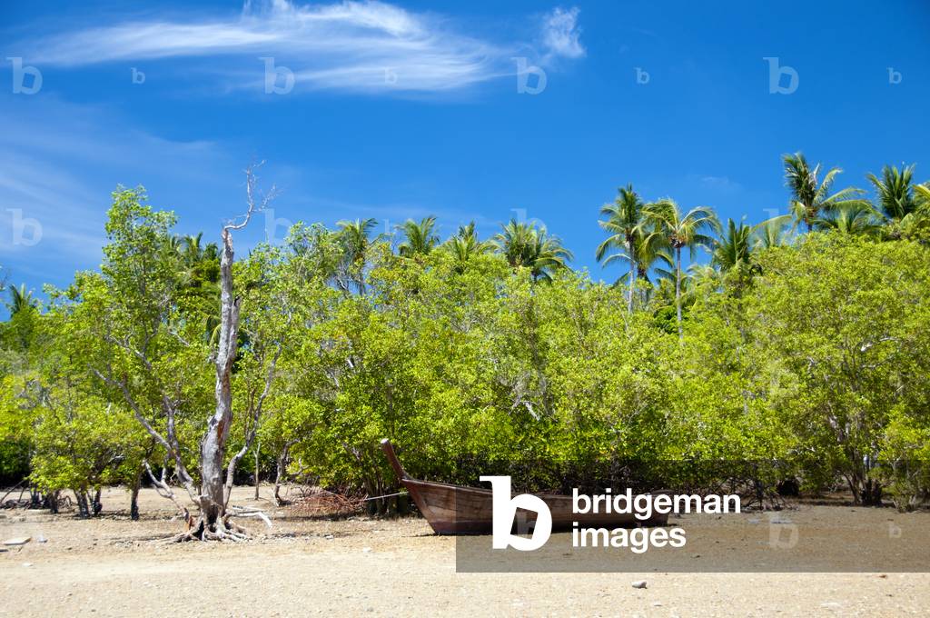 Thailand: Mangroves at Hat Rai Leh East bay, Krabi Coast