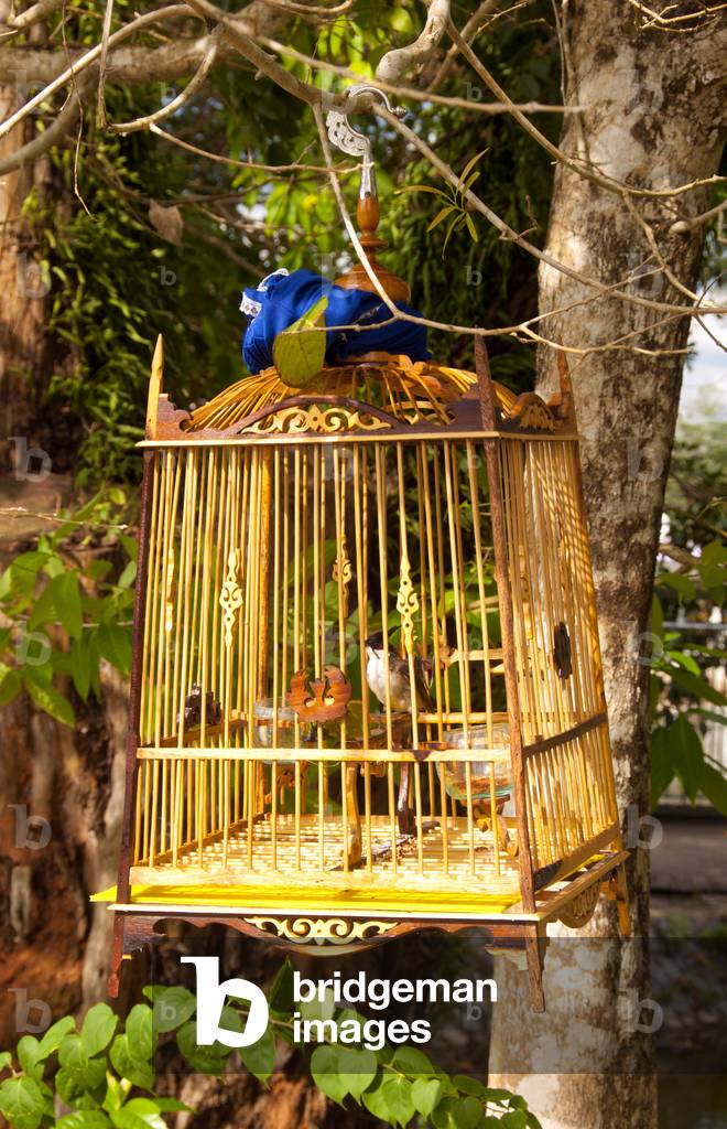 Thailand: Birdcage, Kaphang Surin Lake, Trang Town, Trang Province, southern Thailand