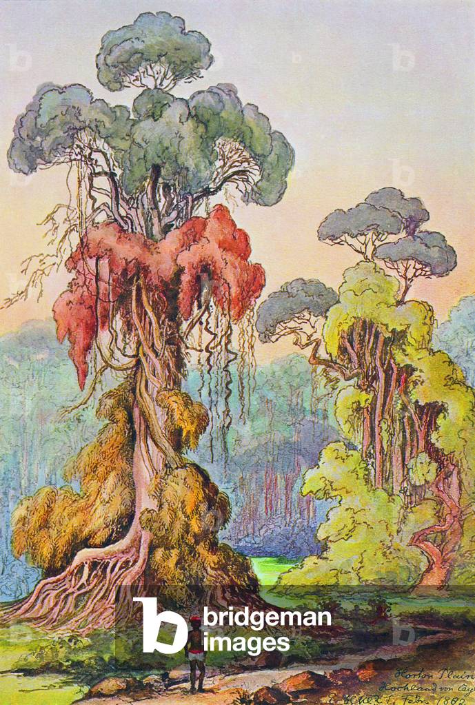 Sri Lanka: Trees hung with lianas in the Central Highlands. Watercolour by the German scientist and traveller Ernst Haeckel, c.1882.