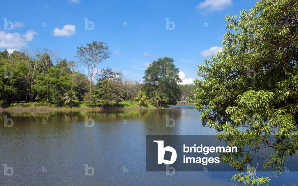 Thailand: Somdet Phra Srinakarin 95 Public Park, Trang Town, Trang Province, southern Thailand