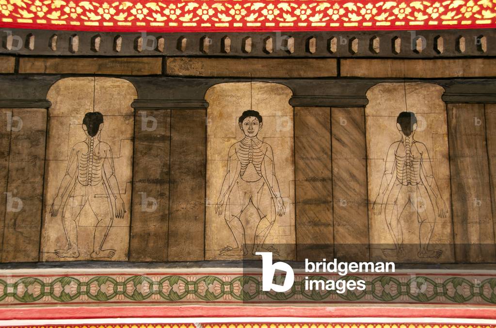 Thailand: 19th century diagrams placed during the reign of Rama III (1787 - 1851) showing the body's acupressure points, Wat Pho (Temple of the Reclining Buddha), Bangkok
