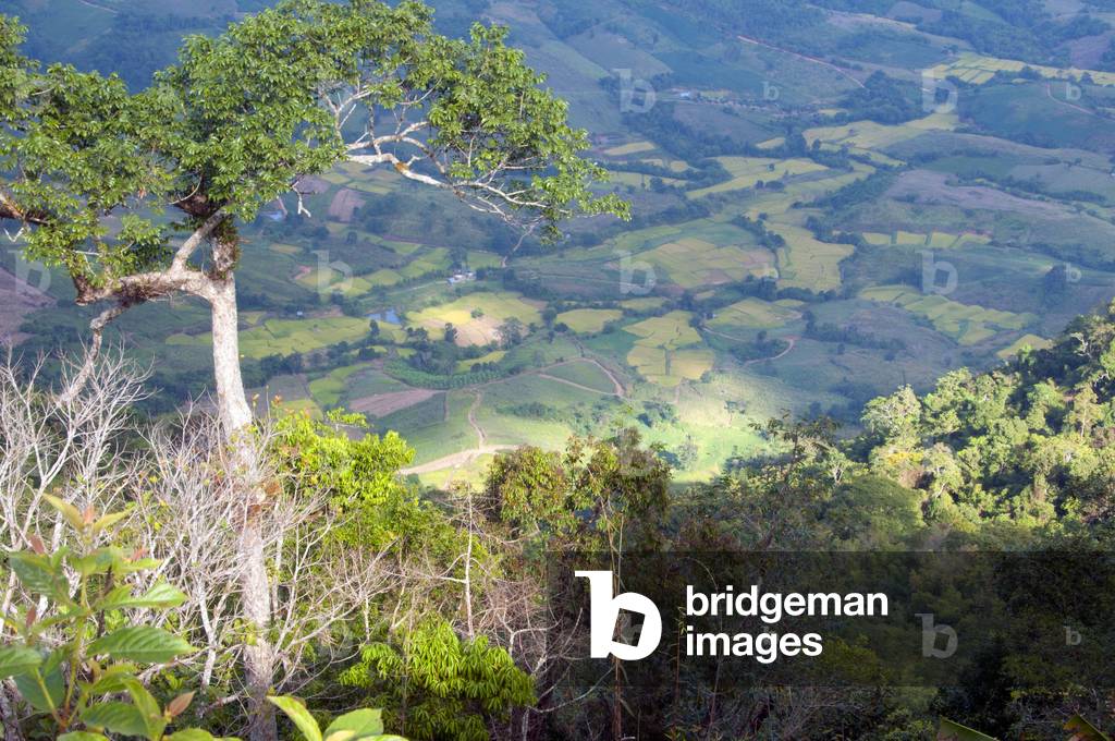 Thailand: View from Lon Noi Cliff, Phu Ruea National Park, Loei Province