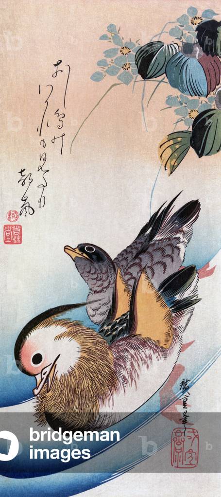 Japan: Oshidori ('Mandarin Ducks'), by Utagawa Hiroshige (1735-1814).