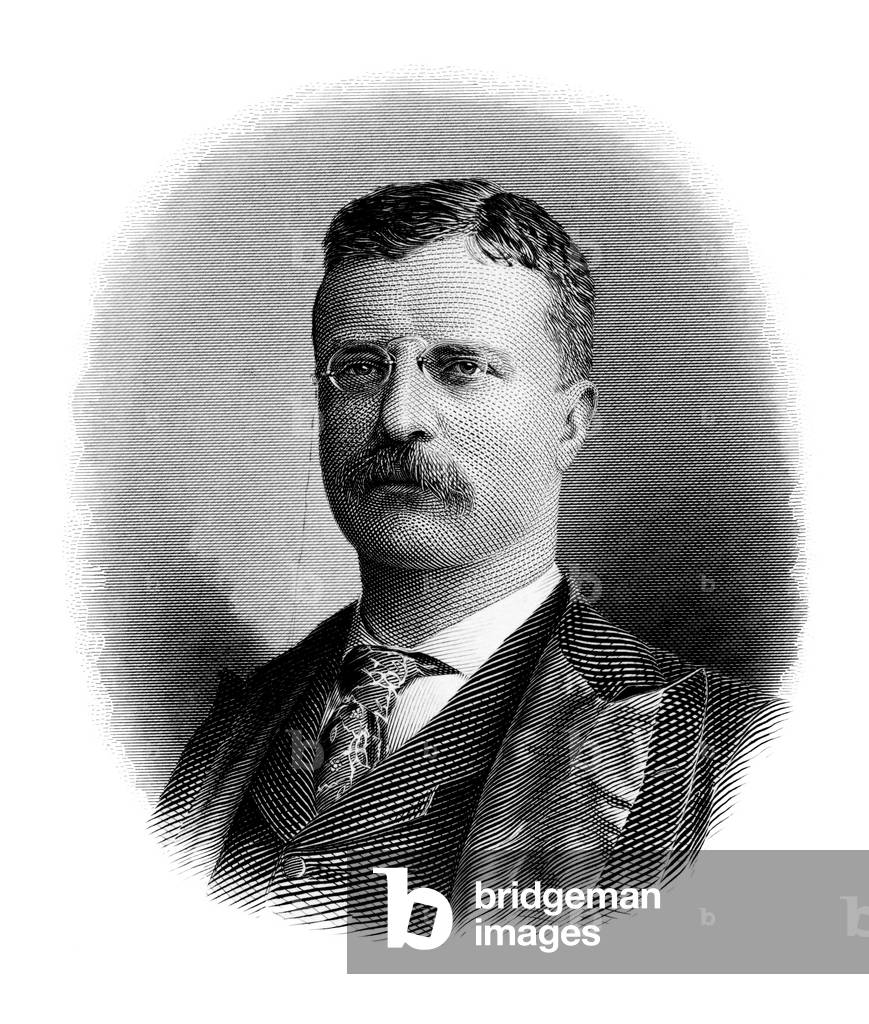 USA: Theodore Roosevelt (print)