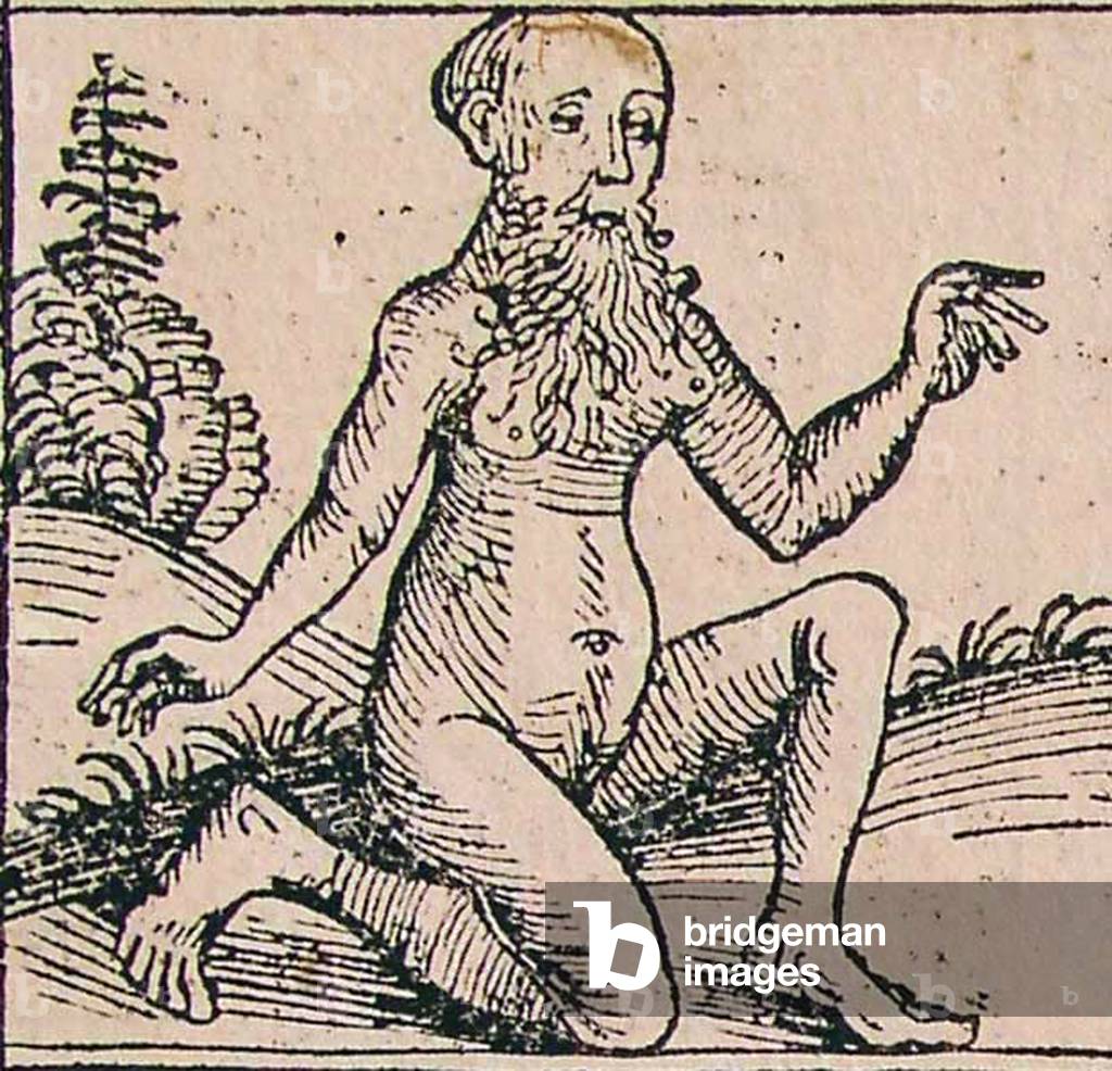 Germany: The Nuremberg Chronicle, an Androgyn.