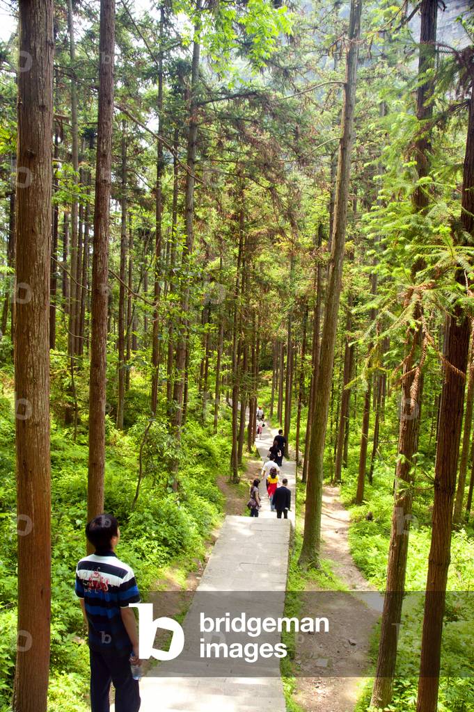 China: Hikers in Wulingyuan Scenic Area (Zhangjiajie), Hunan Province