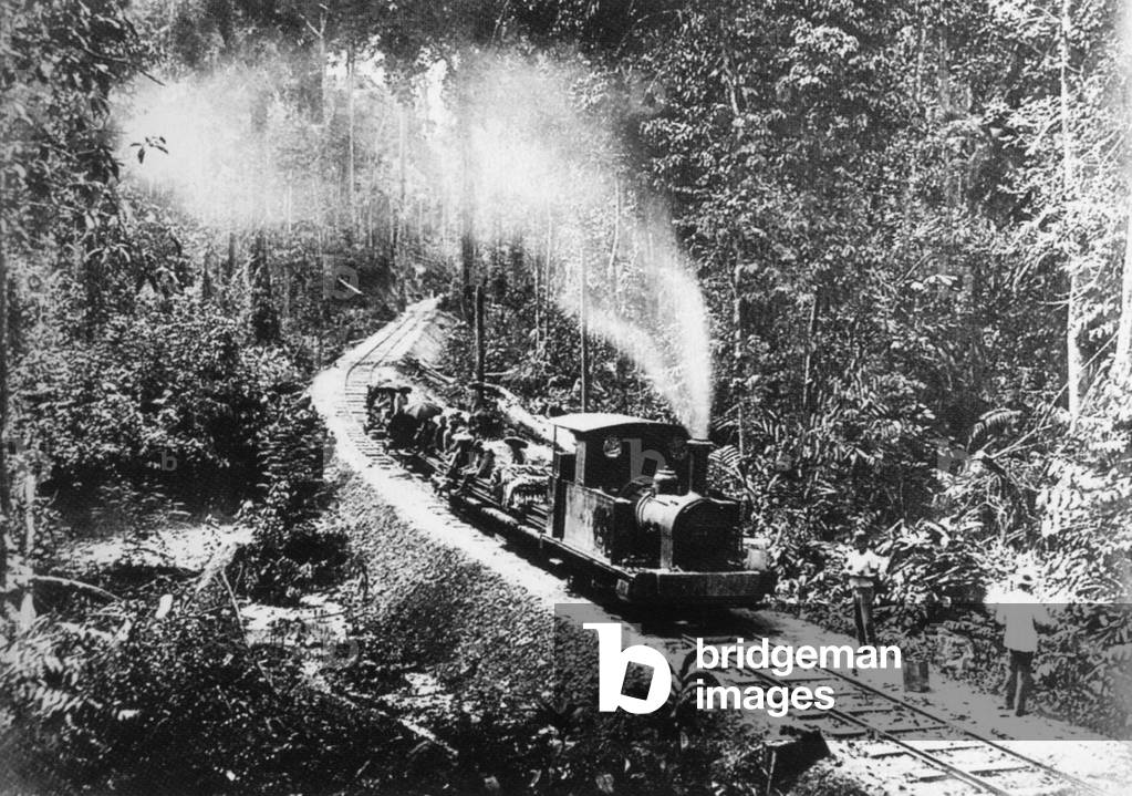 Malaysia: A steam engine travelling through the jungle in North Borneo, late 19th century