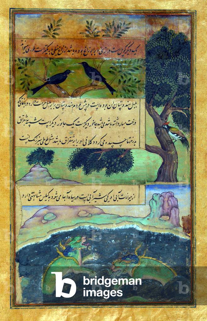 India: An illustration from the Baburnama. Animals of Hindustan - wild birds and dragon-like water creatures