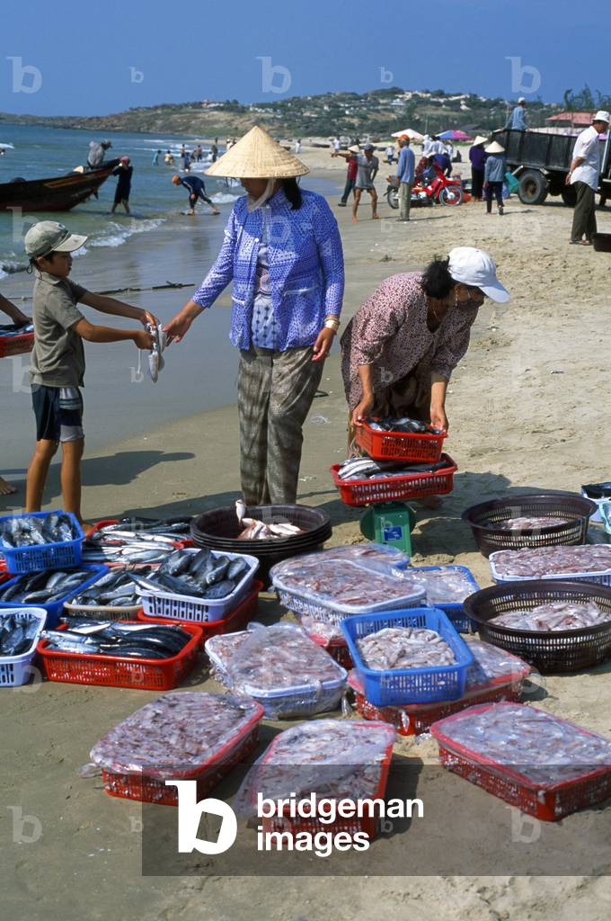 Vietnam: Selling off the morning's catch on a busy beach near Mui Ne, Binh Thuan Province